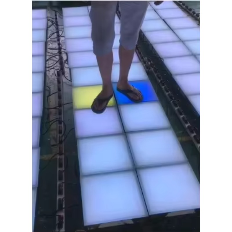 야외용 IP65-67 방수 RGB 컬러 LED 댄스 플 - Outdoor Lighting Ip65 리뷰 및 가격
