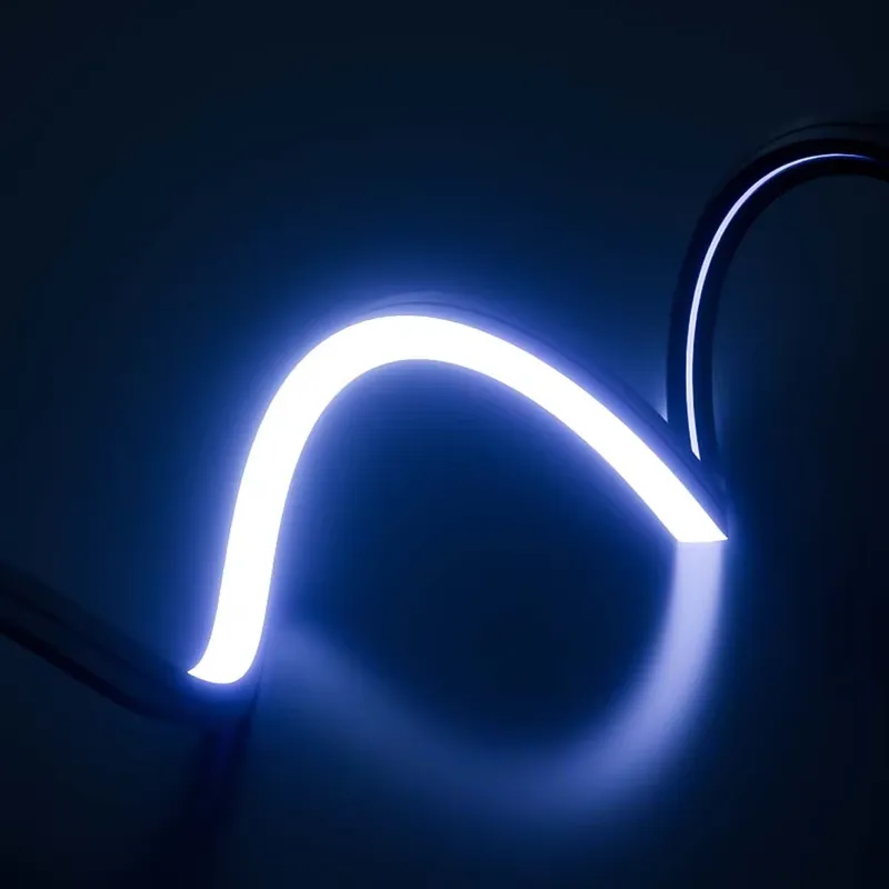 완벽한 드림 컬러 LED 네온 스트립 라이트 IP65  - Outdoor Lighting Ip65 리뷰 및 가격